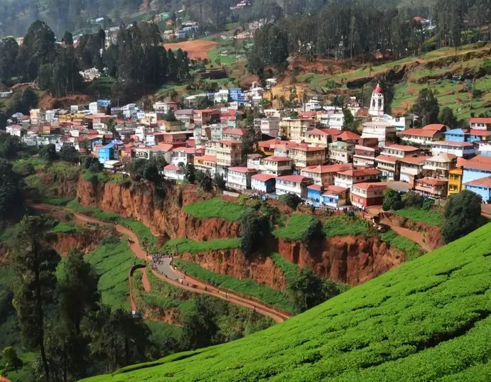 Ooty Trip Captions For Instagram